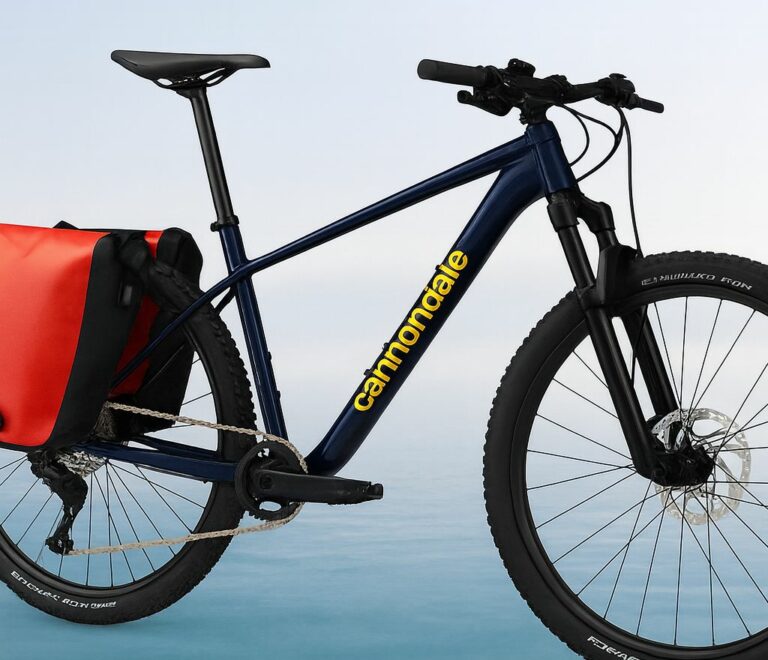 aluguel de bicicletas no camino de santiago