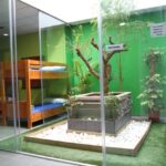 Albergue Porta de Santiago