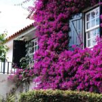 Casa de Esteiro