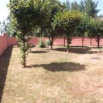 Ribeirotel
