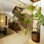 Hotel Mira Rio