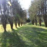 Albergue Pallanes