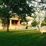 Albergue El Jardín de Muruzábal