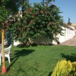San Luis de Francia