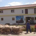 Albergue Camino Real
