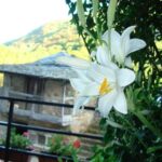 Albergue Pequeño Potala